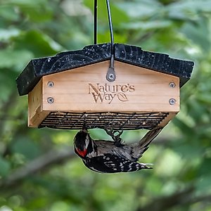 Natures Way Bird Products Suet Upside-Down Bird Feeder, Cedar
