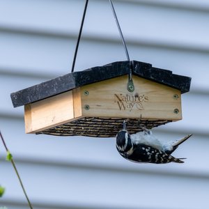 Natures Way Bird Products Suet Upside-Down Bird Feeder, Cedar