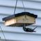 Show in main carousel: Natures Way Bird Products Suet Upside-Down Bird Feeder, Cedar slide 6 of 10
