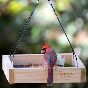 Natures Way Bird Products Tray Bird Feeder, Cedar
