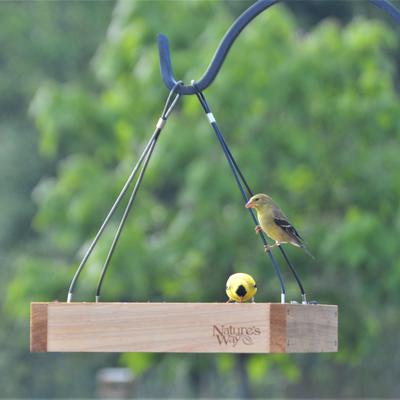 Show full view: Natures Way Bird Products Tray Bird Feeder, Cedar slide 3 of 10