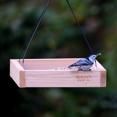 Show full view: Natures Way Bird Products Tray Bird Feeder, Cedar slide 4 of 10