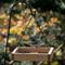 Show in main carousel: Natures Way Bird Products Tray Bird Feeder, Cedar slide 5 of 10