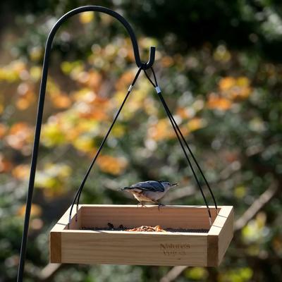 Show full view: Natures Way Bird Products Tray Bird Feeder, Cedar slide 5 of 10
