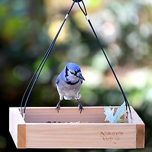 Natures Way Bird Products Tray Bird Feeder, Cedar