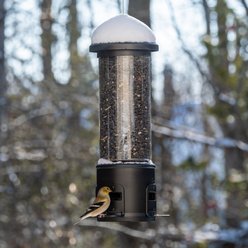 Natures Way Bird Products Tube Bird Feeder, Black, 3.1-qt slide 2 of 9