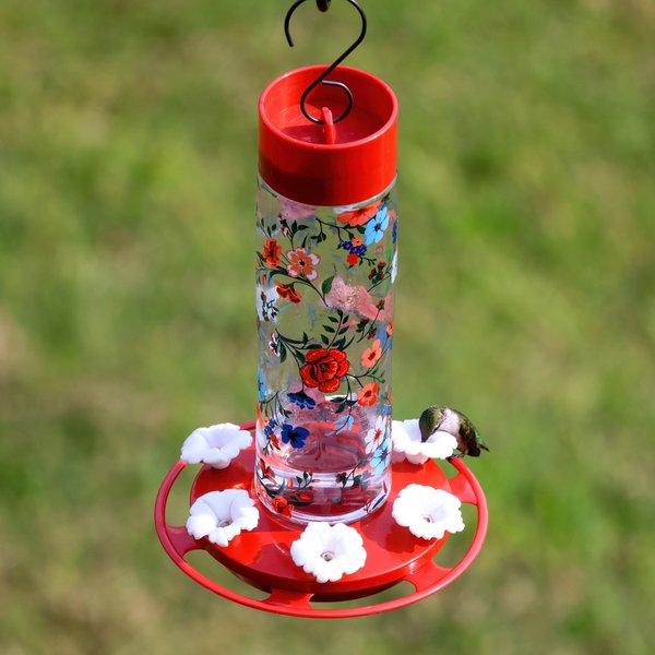 Natures Way Bird Products Vintage Blossom Decorative Glass Hummingbird Feeder, Red, 20-oz