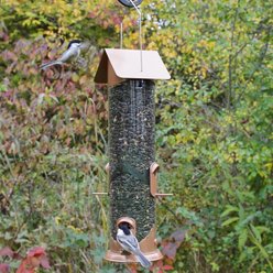Natures Way Bird Products Wide Deluxe Easy Clean Bird Feeder, Copper, 1.5-qt slide 2 of 7