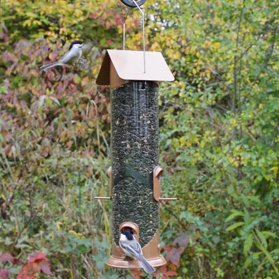 Show full view: Natures Way Bird Products Wide Deluxe Easy Clean Bird Feeder, Copper, 1.5-qt slide 2 of 7