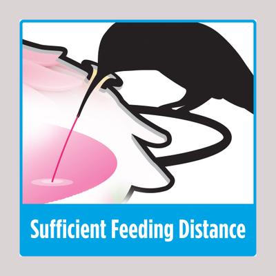 Show full view: Natures Way Bird Products Window Hummingbird Feeder, Red, 7-oz slide 6 of 10