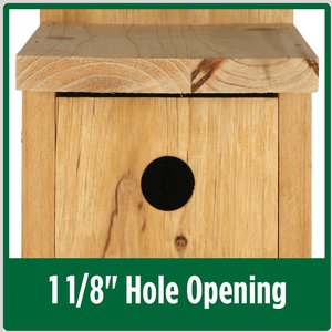 Natures Way Bird Products Wren Box House, Cedar