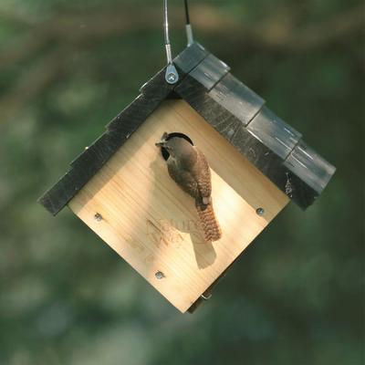 Show full view: Natures Way Bird Products Wren Traditional Hanging Bird House, Cedar  slide 3 of 10