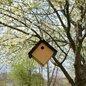 Natures Way Bird Products Wren Traditional Hanging Bird House, Cedar 