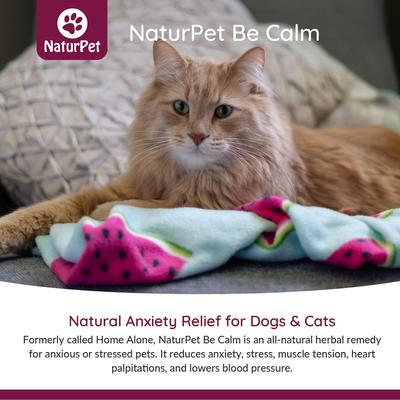Show full view: NaturPet Be Calm Stress, Anxiety & Behavioral Relief Supplement for Cats & Dogs, 100-ml bottle slide 6 of 7