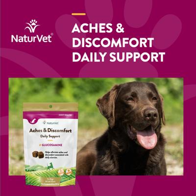 Show full view: NaturVet Aches & Discomfort Plus Glucosamine Soft Chews Joint Supplement for Dogs, 30 count slide 5 of 10