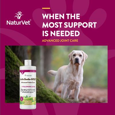 Show full view: NaturVet Advanced Care ArthriSoothe-GOLD Liquid Joint Supplement for Cats & Dogs, 16-fl oz bottle slide 5 of 11