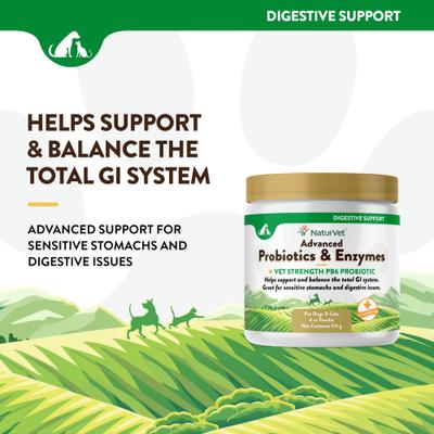 Show full view: NaturVet Advanced Probiotics & Enzymes Plus Vet Strength PB6 Probiotic Powder Digestive Supplement for Cats & Dogs, 4-oz jar slide 4 of 11