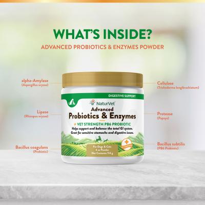 Show full view: NaturVet Advanced Probiotics & Enzymes Plus Vet Strength PB6 Probiotic Powder Digestive Supplement for Cats & Dogs, 4-oz jar slide 6 of 11
