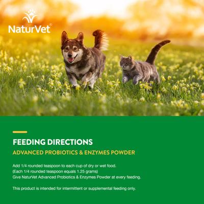 Show full view: NaturVet Advanced Probiotics & Enzymes Plus Vet Strength PB6 Probiotic Powder Digestive Supplement for Cats & Dogs, 4-oz jar slide 8 of 11