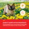 Show in main carousel: NaturVet Aller-911 Plus Antioxidants Soft Chews Allergy Supplement for Cats, 60 count slide 5 of 12