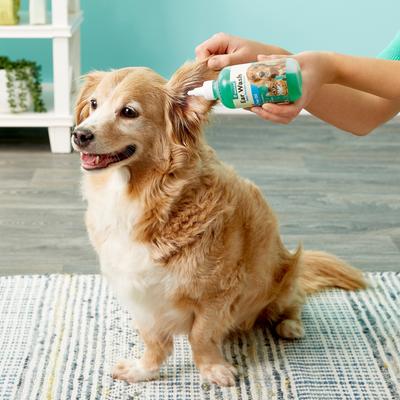 Show full view: NaturVet Aloe & Baby Powder Scent Dog & Cat Ear Wash, 8-fl oz bottle slide 9 of 10