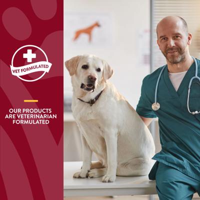 Show full view: NaturVet Bladder Support Plus Cranberry Soft Chews Urinary Supplement for Dogs, 60 count slide 7 of 10