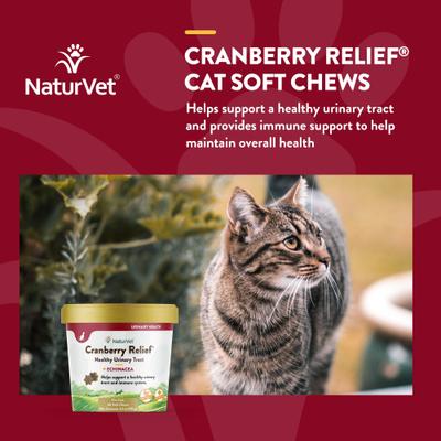 Show full view: NaturVet Cranberry Relief Plus Echinacea Soft Chews Urinary Supplement for Cats, 60 count slide 5 of 10