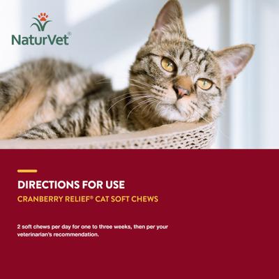 Show full view: NaturVet Cranberry Relief Plus Echinacea Soft Chews Urinary Supplement for Cats, 60 count slide 8 of 10