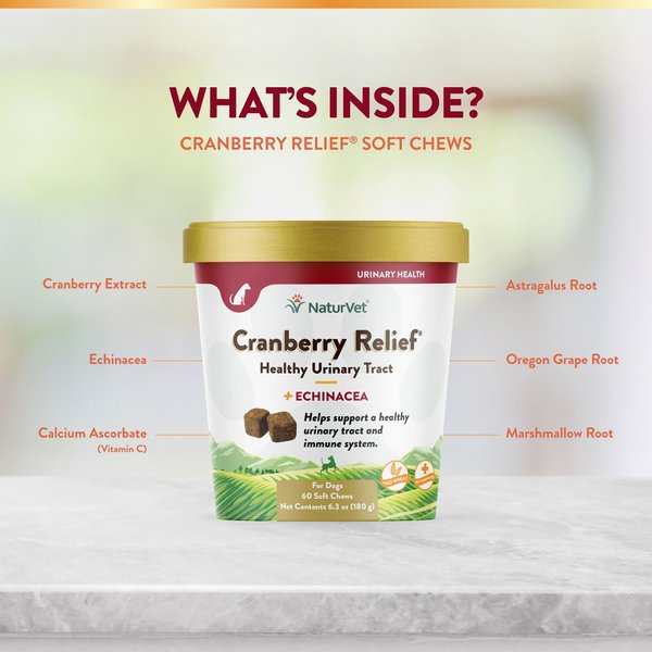 Show full view: NaturVet Cranberry Relief Urinary Care Bacon & Chicken Flavored Soft Chew Supplement for Dogs, 60 count slide 5 of 9