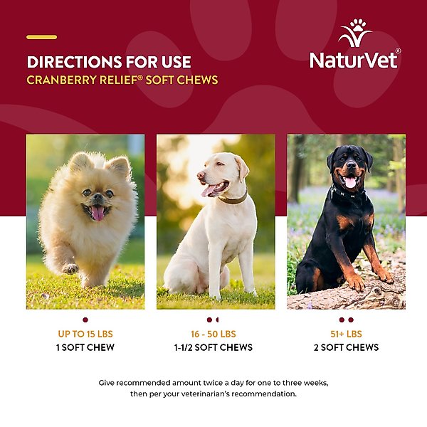 Show full view: NaturVet Cranberry Relief Urinary Care Bacon & Chicken Flavored Soft Chew Supplement for Dogs, 60 count slide 7 of 9
