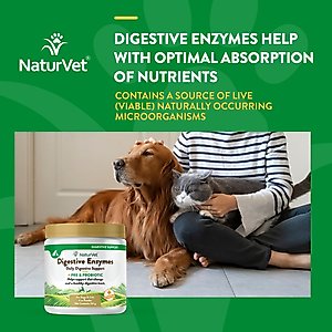 NaturVet Digestive Enzymes Plus Probiotic Powder Digestive Supplement for Cats & Dogs, 4-oz