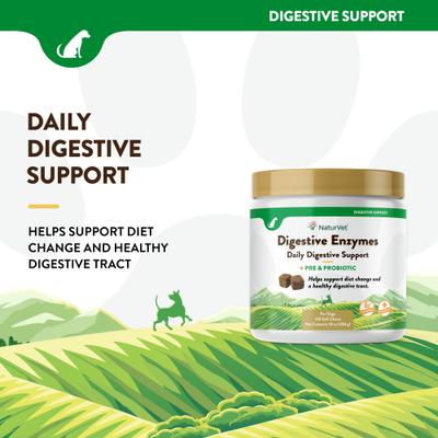 Show full view: NaturVet Digestive Enzymes Bacon & Chicken Flavored Soft Chew Supplement for Dogs, 120 count slide 4 of 12