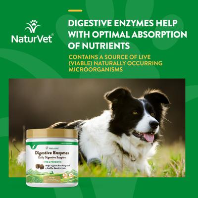 Show full view: NaturVet Digestive Enzymes Bacon & Chicken Flavored Soft Chew Supplement for Dogs, 120 count slide 5 of 12