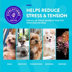 NaturVet Evolutions Advanced Calming Soft Chews Dog Supplement, 90 count slide 2 of 7