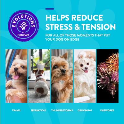 Show full view: NaturVet Evolutions Advanced Calming Soft Chews Dog Supplement, 90 count slide 3 of 8