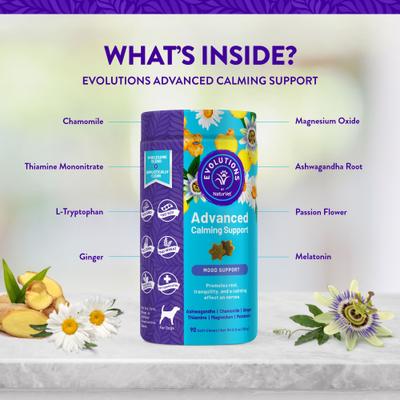 Show full view: NaturVet Evolutions Advanced Calming Soft Chews Dog Supplement, 90 count slide 5 of 8