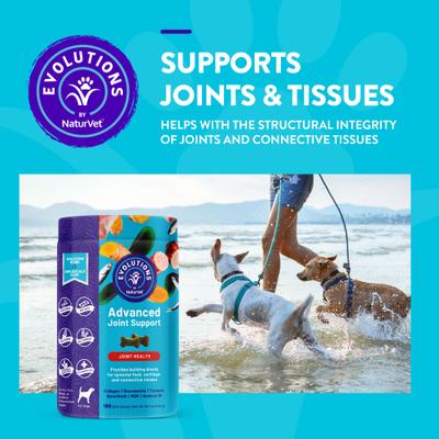 Show full view: NaturVet Evolutions Advanced Joint Soft Chews Dog Supplement, 180 count slide 3 of 8