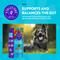 Show in main carousel: NaturVet Evolutions Probiotic + Superfoods Soft Chews Dog Supplement, 90 count slide 3 of 10