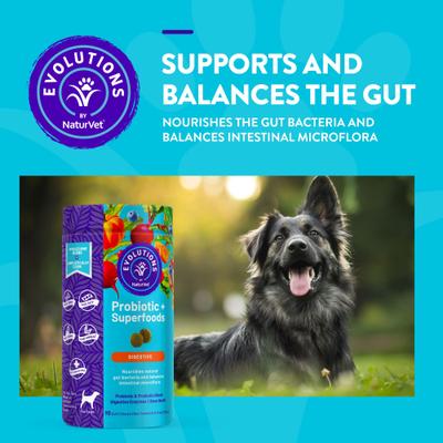 Show full view: NaturVet Evolutions Probiotic + Superfoods Soft Chews Dog Supplement, 90 count slide 3 of 10