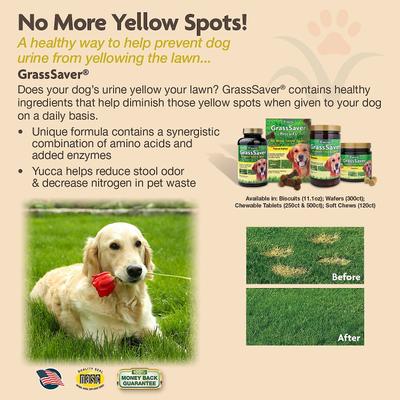 Show full view: NaturVet GrassSaver Plus Enzymes Soft Chews Urinary & Lawn Protection Supplement for Dogs, 120 count slide 7 of 8