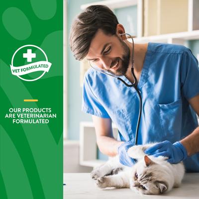 Show full view: NaturVet Hairball Help! Digestion Pumpkin Flavored Soft Chew Supplements for Cats, 100 count slide 6 of 9