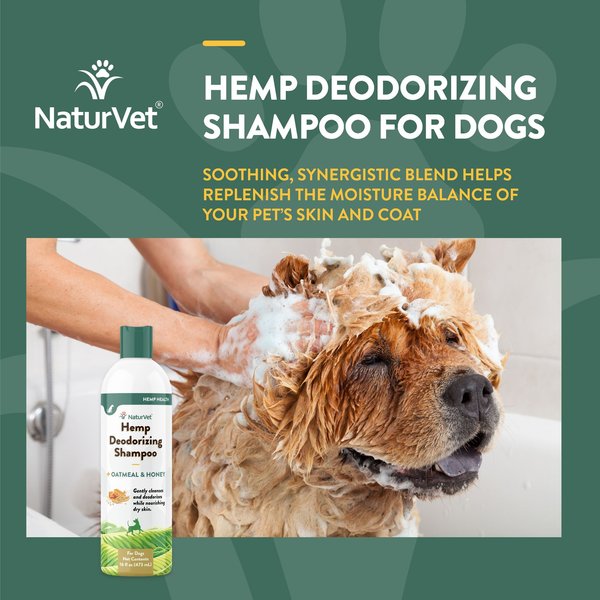 Show full view: NaturVet Hemp Deodorizing Dog Shampoo with Oatmeal & Honey, 16-fl oz bottle slide 4 of 8