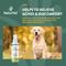 Show in main carousel: NaturVet Hemp Joint Topical with Ginger Dog Spray, 6-fl oz bottle slide 5 of 9