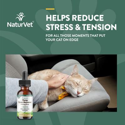 Show full view: NaturVet Hemp Quiet Moments Liquid Calming Supplement for Cats, 1-fl oz bottle slide 5 of 10