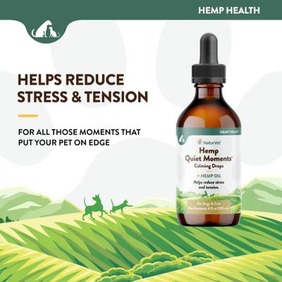 Show full view: NaturVet Quiet Moments with Hemp Seed Oil Calming Bacon Flavored Liquid Supplement Drops for Dogs & Cats, 4-fl oz bottle slide 4 of 10