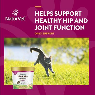 Show full view: NaturVet Hip & Joint Plus Omegas Soft Chews Joint Supplement for Cats, 60 count slide 5 of 10