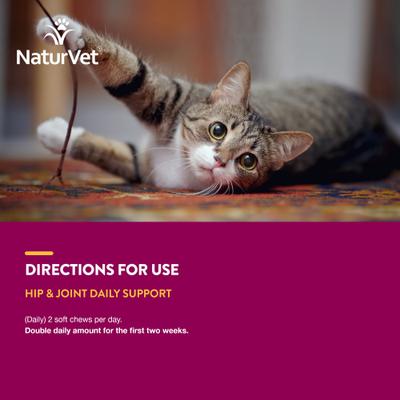 Show full view: NaturVet Hip & Joint Plus Omegas Soft Chews Joint Supplement for Cats, 60 count slide 8 of 10