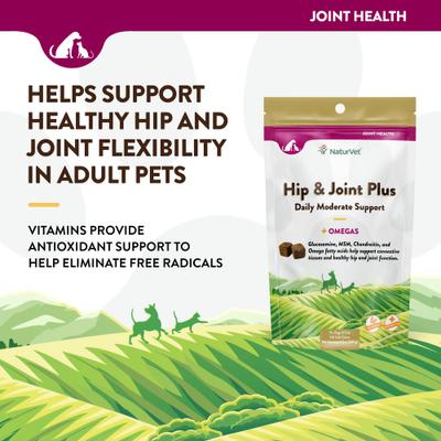 Show full view: NaturVet Hip & Joint Plus Omegas Soft Chews Joint Supplement for Cats & Dogs, 120 count slide 4 of 11