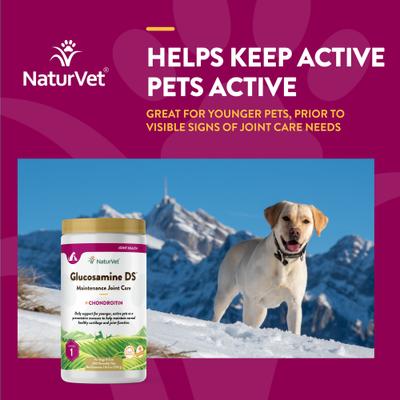 Show full view: NaturVet Maintenance Care Glucosamine DS Chewable Tablets Joint Supplement for Dogs & Cats, 240 count slide 5 of 10