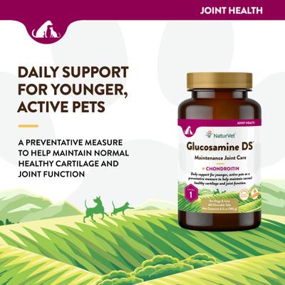 Show full view: NaturVet Maintenance Care Glucosamine DS Chewable Tablets Joint Supplement for Dogs & Cats, 60 count slide 4 of 10